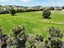 6673 State Highway 12, Turiwiri, Dargaville - Carousel 28