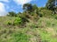 320 Takahue Saddle Road, Takahue, Kaitaia - Carousel 22