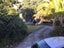 15 Athenic Avenue, Lynfield, Auckland - Carousel 5