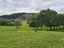 54 Hall Road, Matakohe - Carousel 8