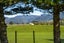 230B State Highway 53, South Featherston, Featherston - Carousel 24