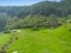 0 Kakapo Bay, Port Underwood, Picton - Carousel 12