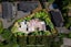 21 Flavia Close, Torbay, Auckland - Carousel 5