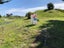 24 FOREST Road, Waitarere Beach, Levin - Carousel 2