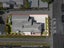 5 Midway Avenue, Castor Bay, North Shore City, Auckland - Carousel 6