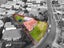35 Harwood Crescent, Otara, Auckland - Carousel 1