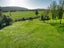 317 Poerua Valley Road, Harihari - Carousel 33