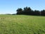 0 Ellison Rd, Norsewood - Carousel 17