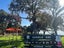 1/19 Robbies Road, Shelly Park, Manukau - Carousel 27