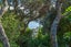 41 Gerontius Lane, Snells Beach, Auckland - Carousel 20