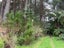 0 Pretoria Road, Shannon, Shannon - Carousel 3