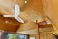 47 Reay Mackay Grove, Waikawa Beach, Waikawa Beach - Carousel 25