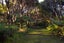886 Purerua, Te Tii, Far North - Carousel 41