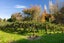 394 Old Highway, Whakamarama, Whakamārama - Carousel 16