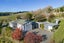 164 Rotohiwi Road, Flemington, Waipukurau - Carousel 1
