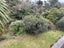 77A Bruce Avenue, Glenview, Hamilton - Carousel 6