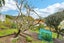 1 Charlotte Street, The Brook, Nelson - Carousel 24