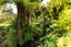 78 Wires Road, Hikutaia - Carousel 20