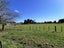819 Matamau Ormondville Road, Dannevirke - Carousel 39