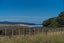 550 Black Jack Road, Opito Bay, Whitianga - Carousel 19