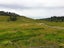 99 McPike Road, Waimauku, Waimauku - Carousel 21