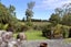 0 Birchfield Road, Birchfield, Westport - Carousel 18