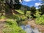 56 Pa Road, Hahei, Whitianga - Carousel 9