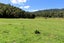 2265 State Highway 7, MAIMAI, REEFTON - Carousel 8