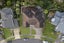 7 Aberley Road, Schnapper Rock, Auckland - Carousel 27