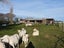 236 Biggs Road, Richmond, Oamaru - Carousel 5