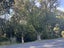 293 Ashgrove Terrace, Somerfield, Christchurch - Carousel 15