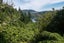 313A Millar Road, Lake Okareka, Rotorua - Carousel 21