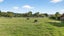 5 Davies Road, Ramarama, Drury - Carousel 22