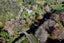 86 Old Highway, Whakamarama, Western Bay Of Plenty, Bay Of Plenty - Carousel 25