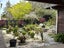 162 Greenhithe Road, Greenhithe, Auckland - Carousel 19