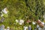 124 Roseberry Avenue, Birkenhead, Auckland - Carousel 19