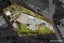 29 Bentley Avenue, Glenfield, Auckland - Carousel 19