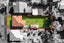 5 Maranui Avenue, Point Chevalier, Auckland - Carousel 9
