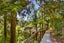 30 Paturoa Road, Titirangi, Auckland - Carousel 25