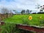 6453 State Highway 1, Kinleith, Atiamuri - Carousel 24
