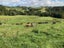 755 Limeworks Loop Road, Karamu, Hamilton - Carousel 11