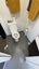 19E/30 Symonds Street, Grafton, Auckland - Carousel 10