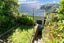 77 Oban Street, Wadestown, Wellington - Carousel 22
