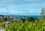 109 Browns Bay Road, Browns Bay, Auckland - Carousel 20