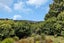 39C Ketenikau Road, Kamo, Whangarei - Carousel 21