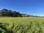 77 Northumberland Street, Tapanui, Tapanui - Carousel 23