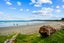 6 Rhona Place, Mahia, Māhia - Carousel 22