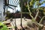 190A Milton Street, The Wood, Nelson - Carousel 10