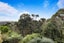 62 Kopiko Road, Titirangi, Auckland - Carousel 16