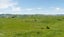 361 Martin Road, Waerenga - Carousel 2